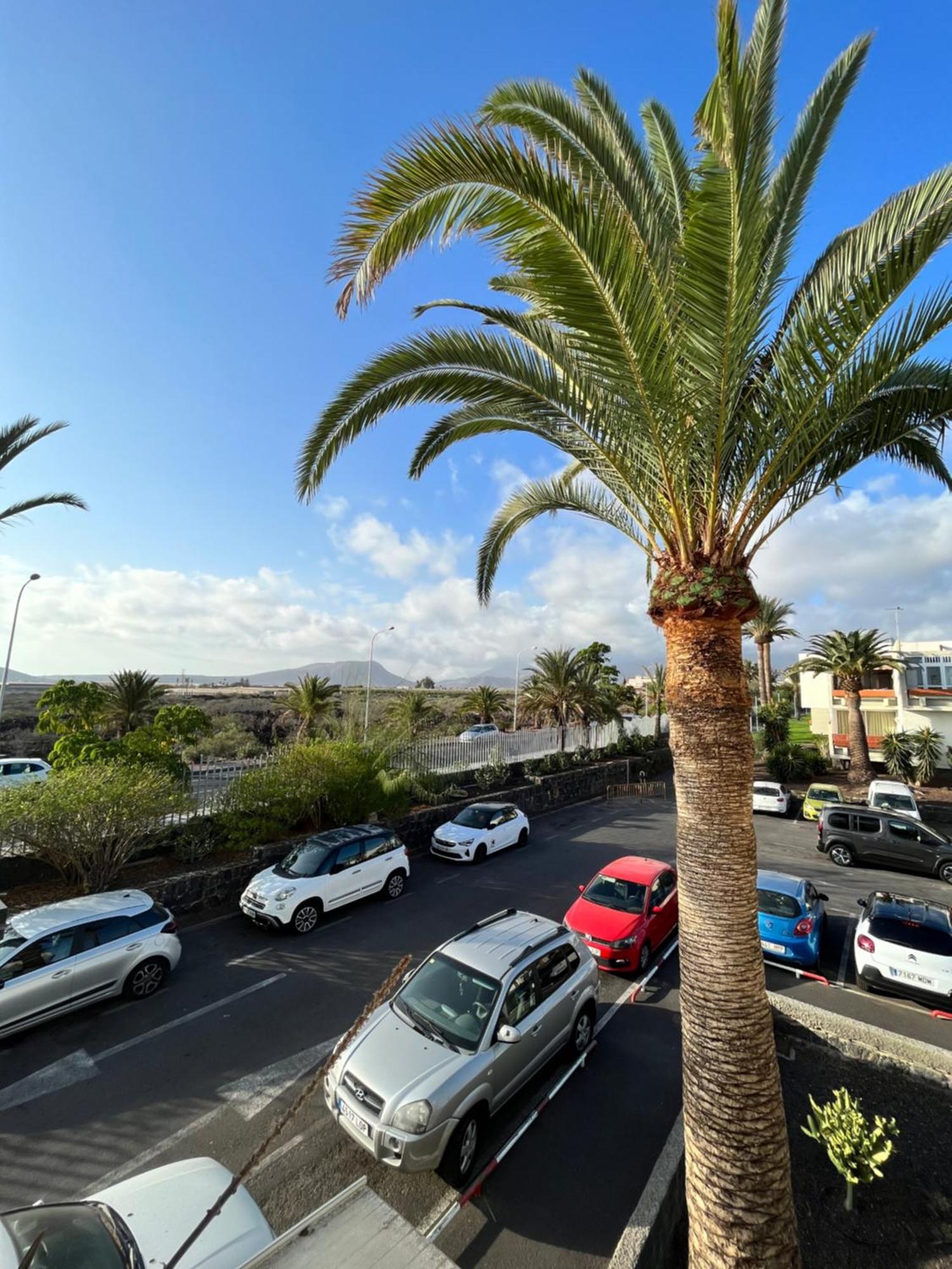 Primavera Holiday Apartment أرونا المظهر الخارجي الصورة